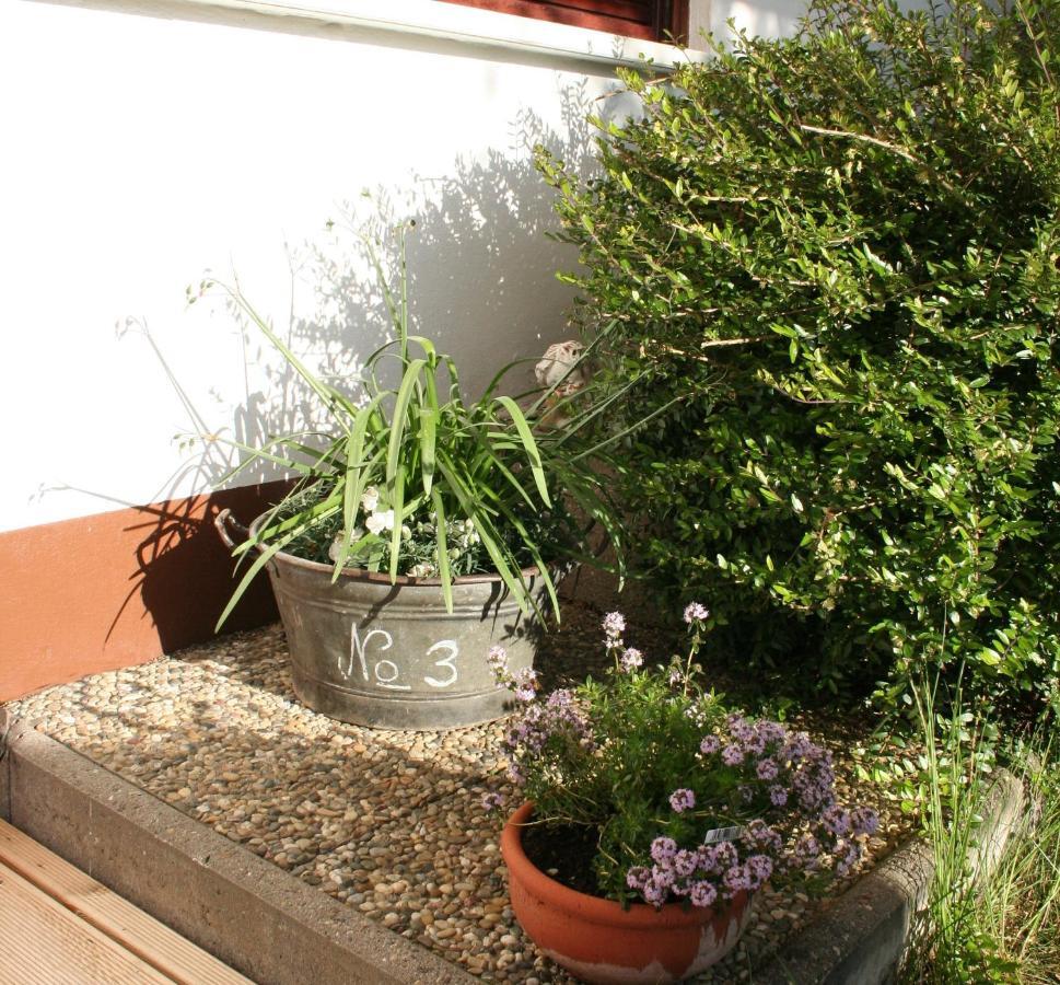 Apartment An der Weinstraße Oberotterbach Exterior foto